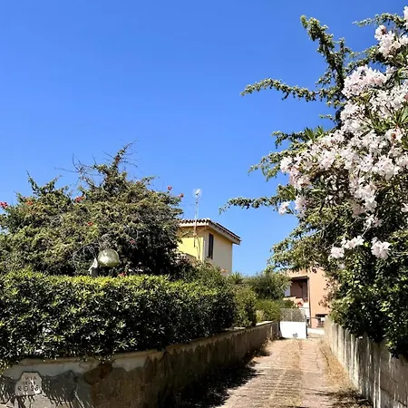 Hébergement de vacances Nura's - Casa Ibisco