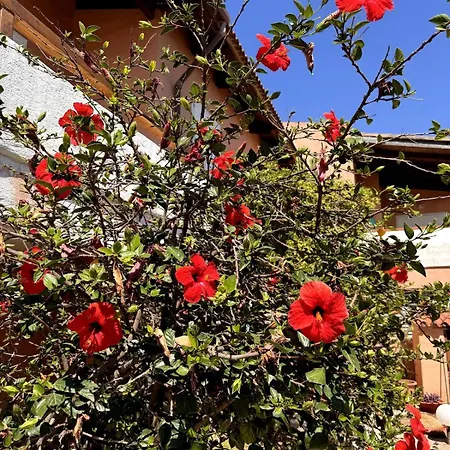 Nura's - Casa Ibisco * Marina di Sorso